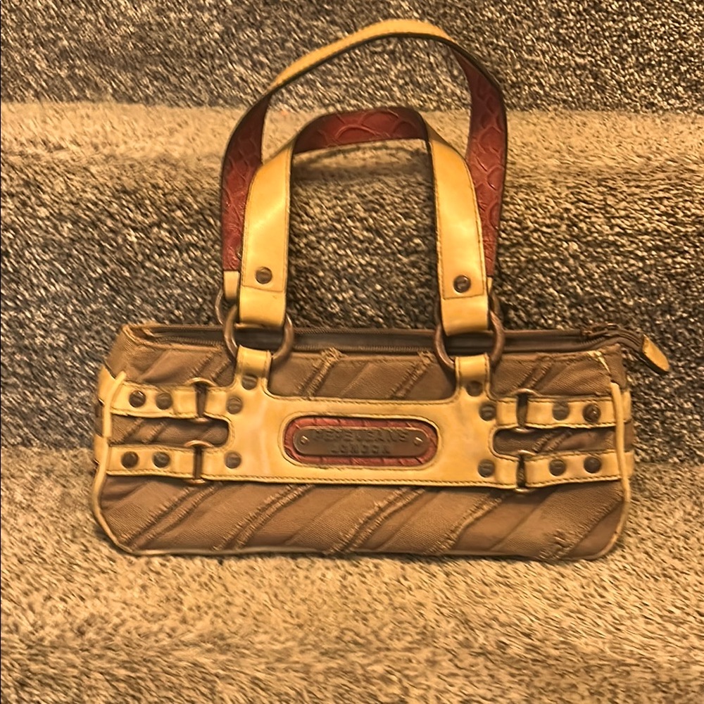 Stylish Tan and Brown Mini Bag